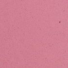 Dekorativna guma EVA 2 mm 20x30 cm - odaberite nijansu – , Pastel rose