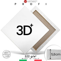 3D  Slikarsko platno na okviru PROFI - Odaberite dimenziju — slika 6