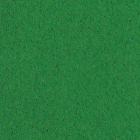 Dekorativna guma EVA 2 mm 20x30 cm - odaberite nijansu – , Dark green