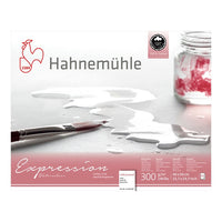 Pakovanje Hahnemühle Expression papira za akvarel dostupno u različitim dimenzijama.