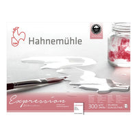 Hahnemühle Expression akvarel papir sa teksturom za precizno slikanje vodenim bojama.