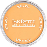 Otvorena posudica PanPastel bisernog suhog pastela od 9 ml