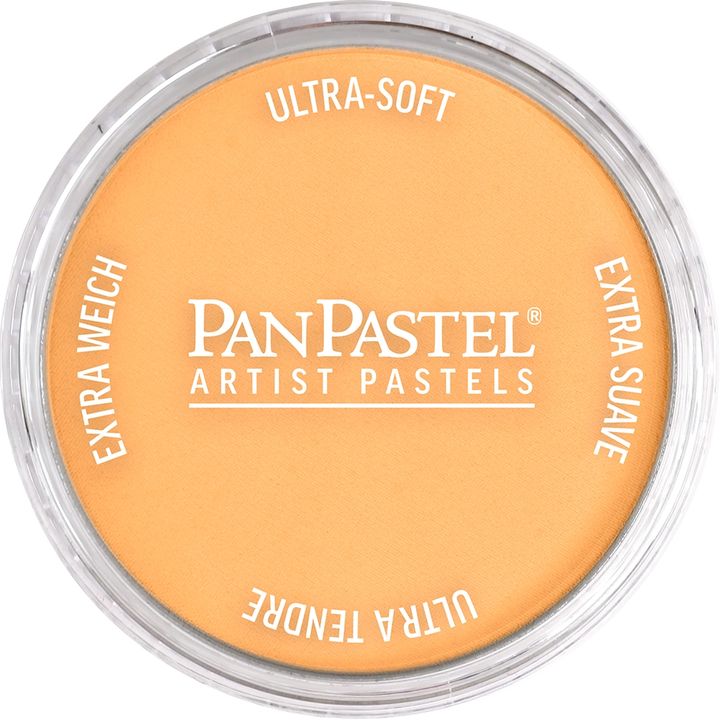 Otvorena posudica PanPastel bisernog suhog pastela od 9 ml
