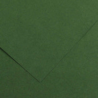 CANSON Iris Vivaldi papir u boji 70 x 100 cm 240 g 25L – Jela 31