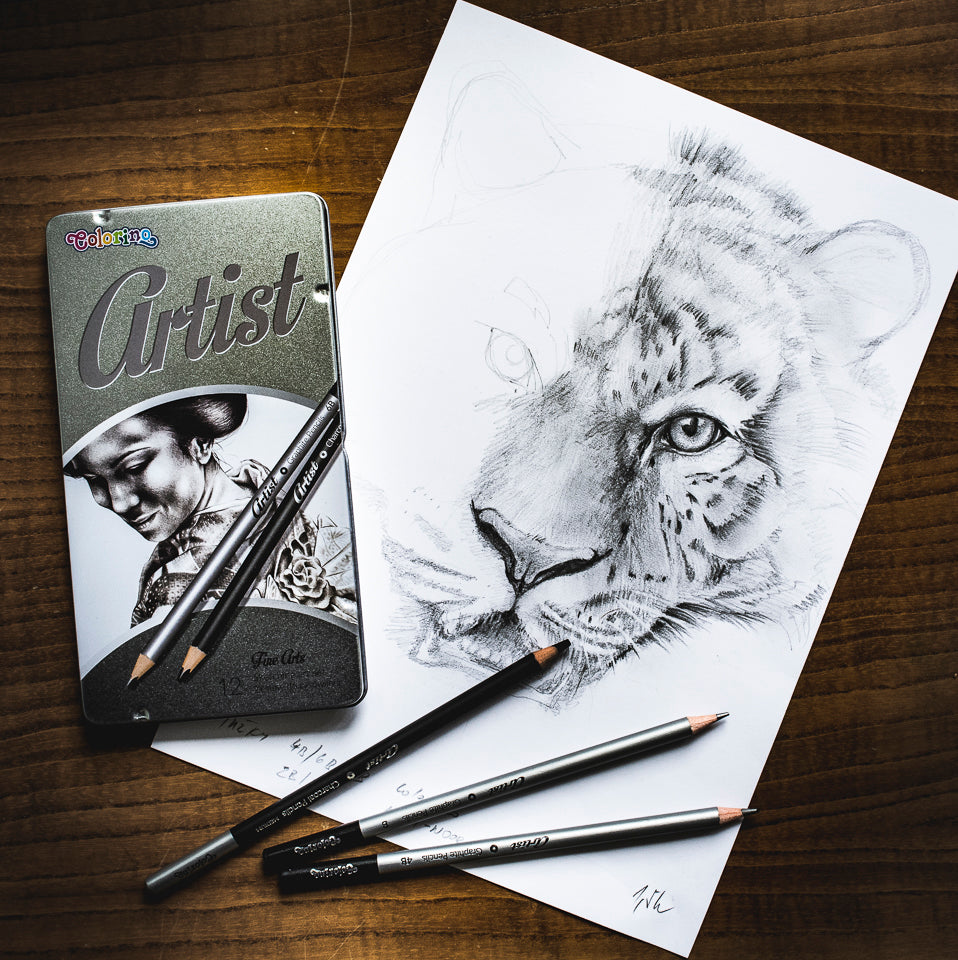 Colorino Artist set za crtanje grafitnih olovaka i ugljena u metalnoj kutiji