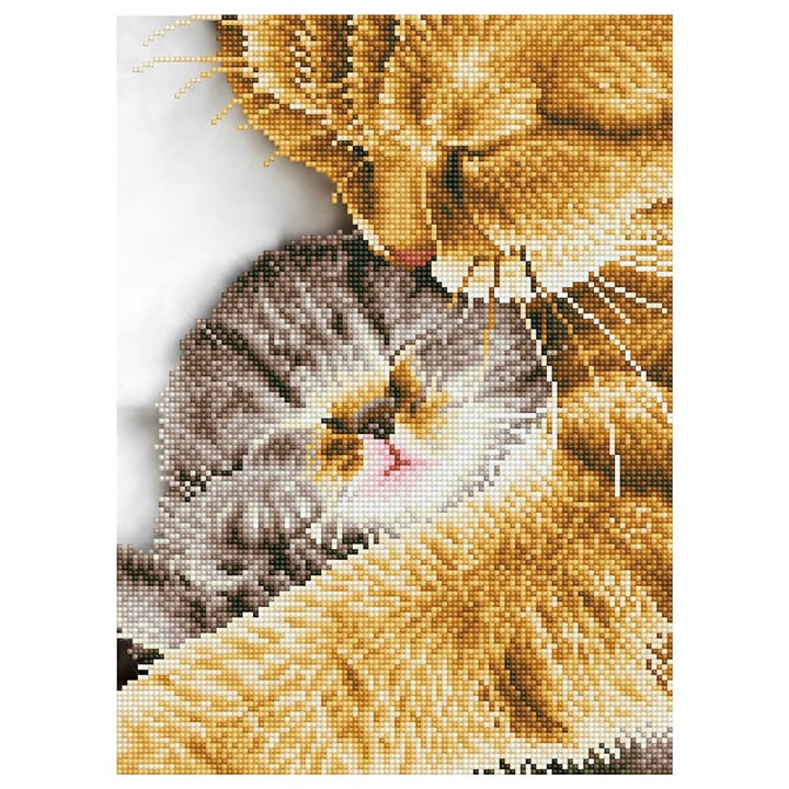 Dijamantna slika Nježni trenutak dimenzija 30x41 cm, set za kreativno slaganje mozaika sa svjetlucavim kamenčićima.
