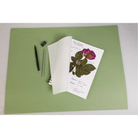 Herbar CLAIREFONTAINE 180 g/m² 21 x 21 cm - 32 listova