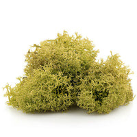 Islandska mahovina 12 g — slika 3