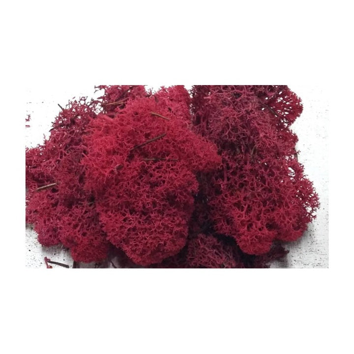 Islandska mahovina 500 g - izaberi boju — slika 2