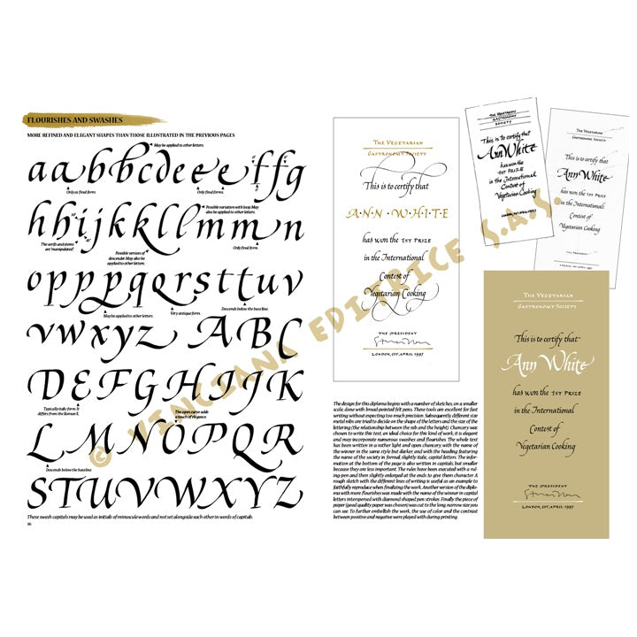 Prikaz različitih nastavaka za Leonardo Collection 37 set za kaligrafiju.