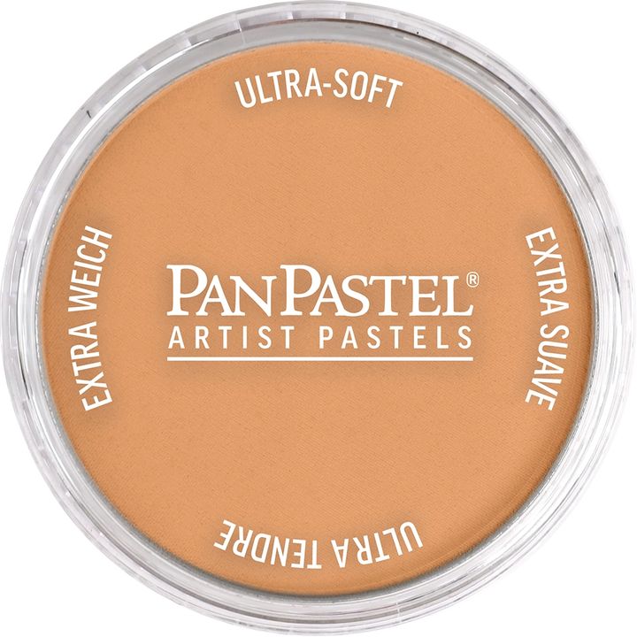 PanPastel metalik suvi pastel 9 ml, idealan za umjetničko sjenčenje i bojenje.