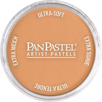 PanPastel metalik suvi pastel 9 ml, idealan za umjetničko sjenčenje i bojenje.