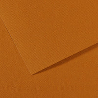 Papir za pastel CANSON Mi-Teintes A4 / 160 g/m² – 50 listova – Svijetla havana 502