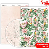 Papiri za scrapbooking King Protea A4 – No. 3