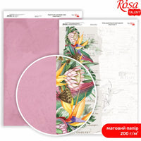 Papiri za scrapbooking King Protea A4 – No. 4