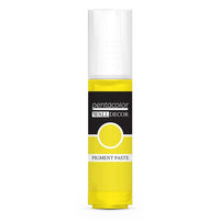 Pigmentna pasta Wall Decor 20 ml u tubi, idealna za dekorativne umjetničke radove.