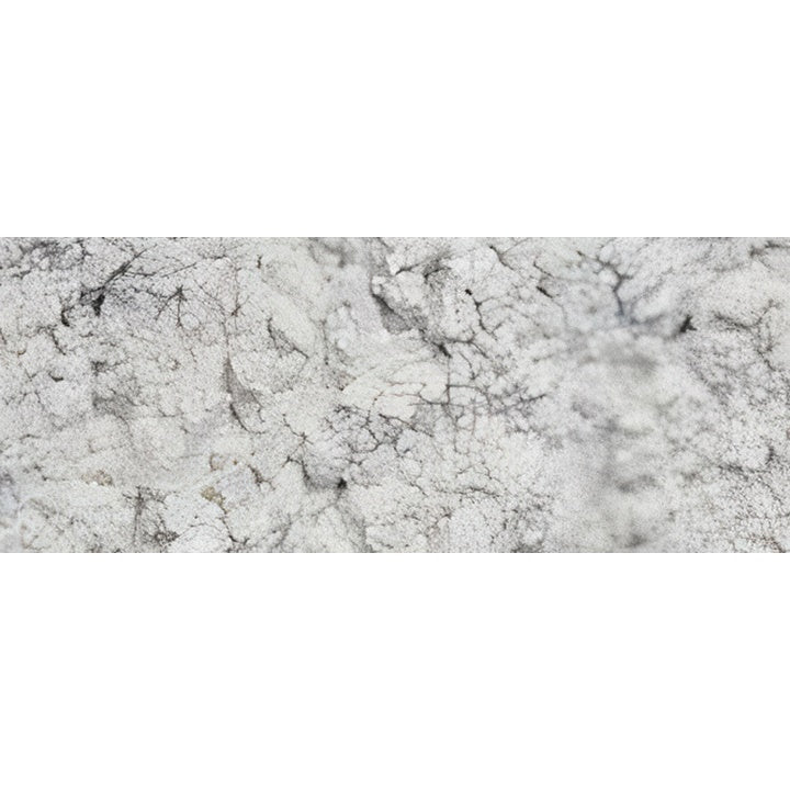 Renesans pigmentni prah 50 g