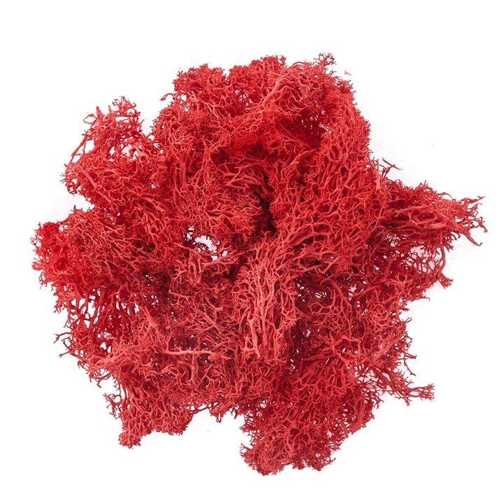 Prirodna mahovina 30 g - izaberi nijansu