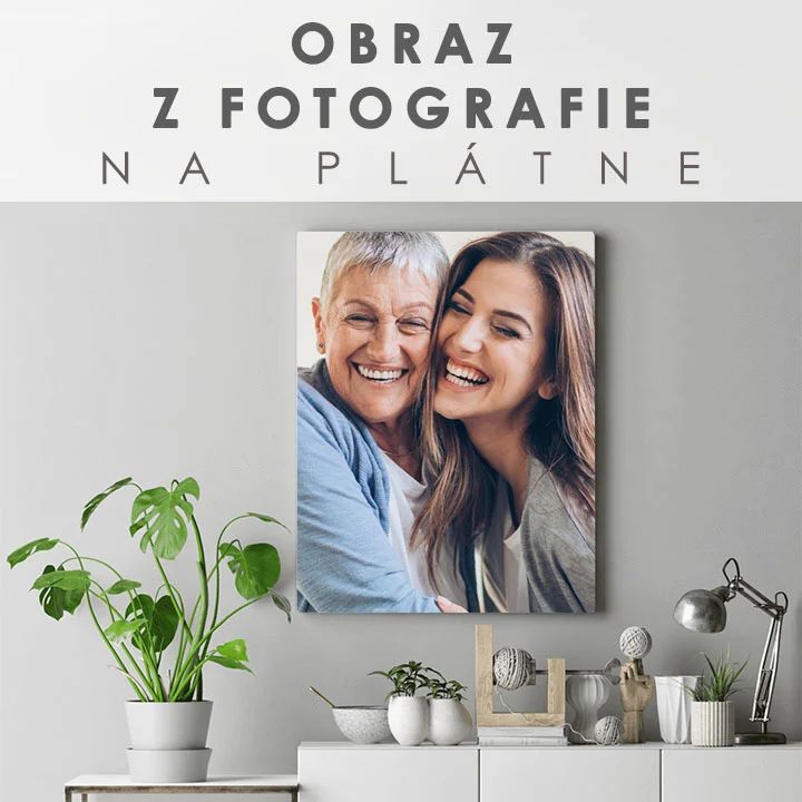 Slika sa fotografije — slika 1