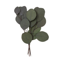 Četiri stabilizovane grane eukaliptusa Populus zelene boje, dužine 20 cm, za kreativne aranžmane.