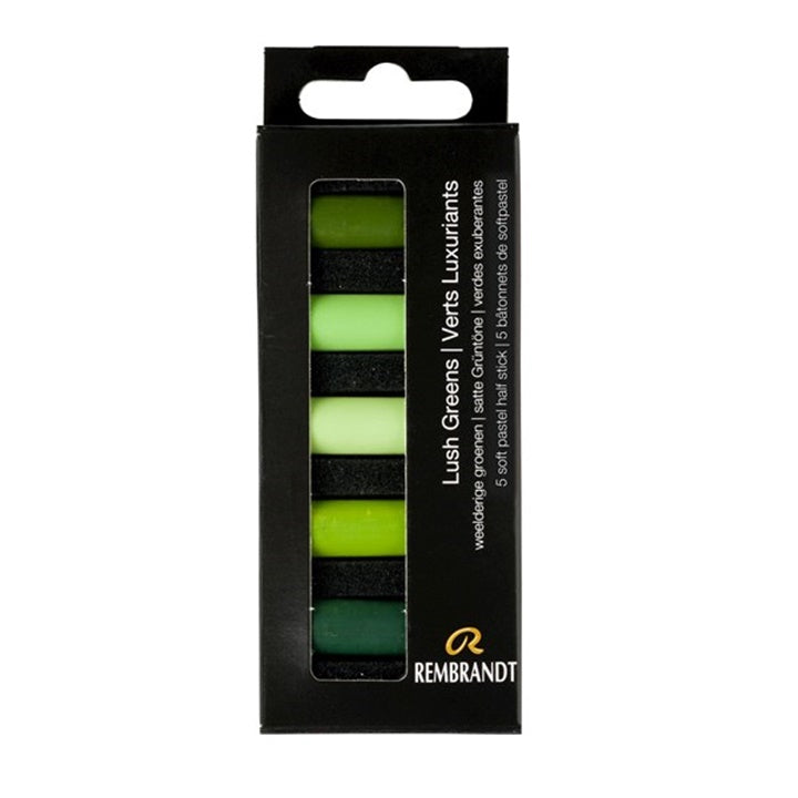Suhe pastele Rembrandt 5 kom - izaberi set — slika 4