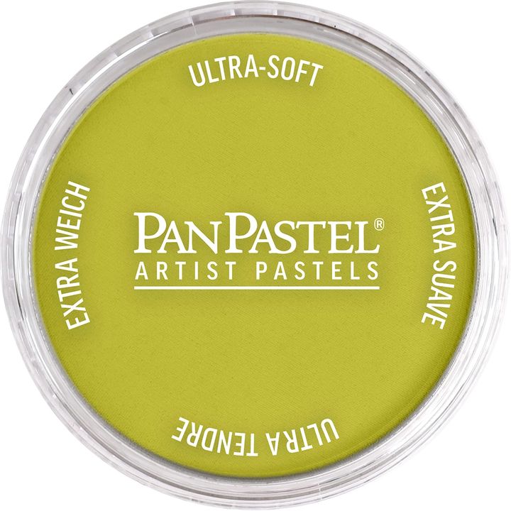 Suhi pastel PanPastel 9 ml, duboka zelena nijansa u profesionalnom pakovanju.