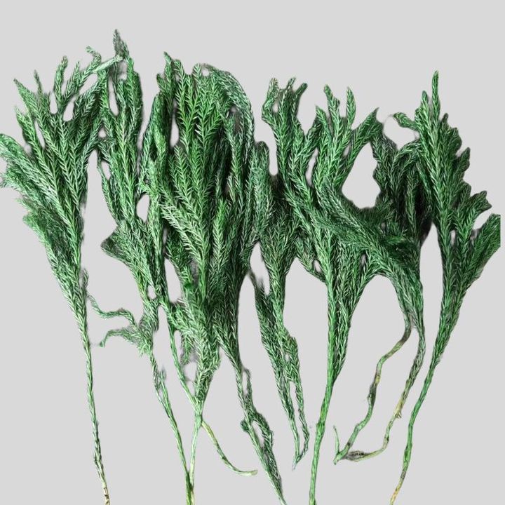 Sitno sušeno bilje za nježan piling u sapunima