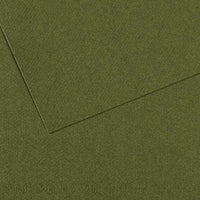 Tonirani papir CANSON Mi-Teintes 50 x 65 cm – 160 g/m² – Bršljan 448