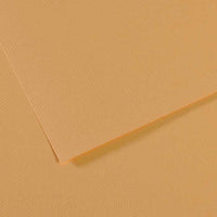 Tonirani papir CANSON Mi-Teintes 50 x 65 cm – 160 g/m² – Ostriga 340